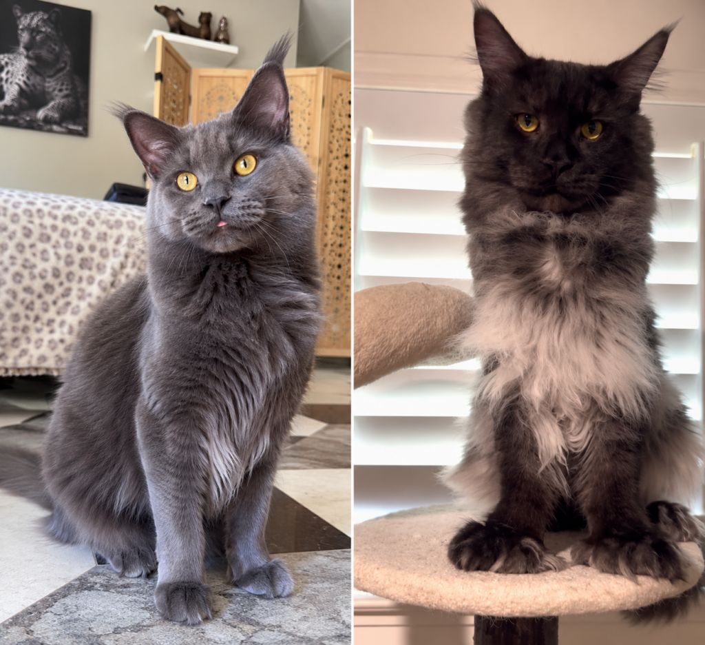 Luna and Tomas